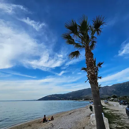Vlora *